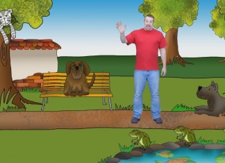 What animals do you like?