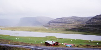 Are you eco-friendly? 10 interesting facts