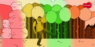 Rainbow and It’s Colours