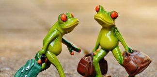 Jezdíme za vámi Jezdíme za Vámi