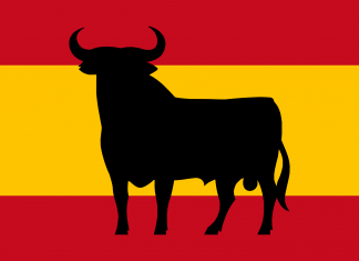 Rody a členy ve španělštině Rody a členy ve španělštině