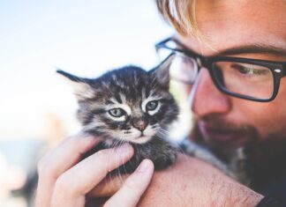 Samomluva pomáhá: 7 tipů, jak se rozmluvit i bez učitele