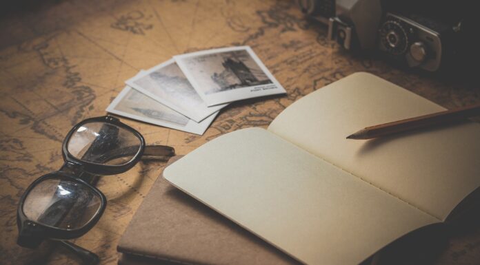 Vzor eseje – Argumentační esej